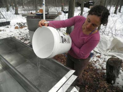 Farming Syrup Trees: Maple Sugaring and More Image